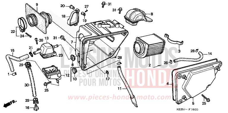 LUFTFILTER von CB1300 Super Bold'or ABS GRAIN GOLD METALLIC (Y159) von 1999